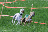 MCH73155 Shea, Shelby, Gherkin, Danno
