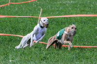 MCH73156 Shea, Shelby, Gherkin, Danno