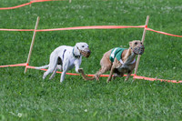 MCH73157 Shea, Shelby, Gherkin, Danno