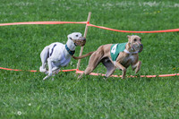 MCH73158 Shea, Shelby, Gherkin, Danno