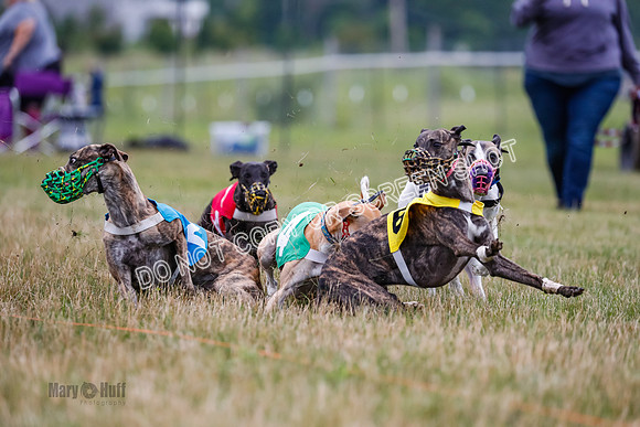 Prg 3, Race 5, Sid-Alex-Zed-Fama-Talim-1187