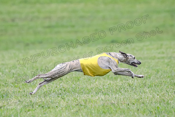 Prelim Open E6, Dazzle Sunshine-9216