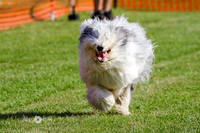 MCH74443