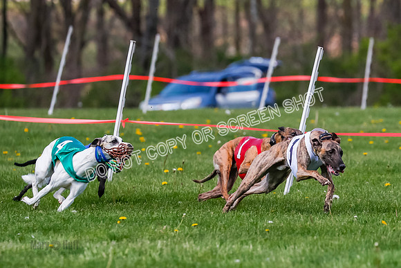 NOTRA Program 2, Race 8, Stoke Nami Nika Eddie-2-2