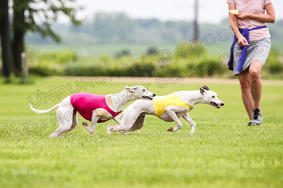 Finals Fch-Vet 1, Huxley Flare-1655