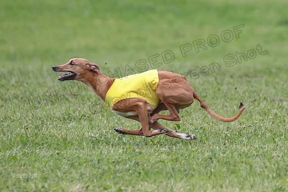 Prelim Veterans 4, Smokey Vulcan Justice-0177
