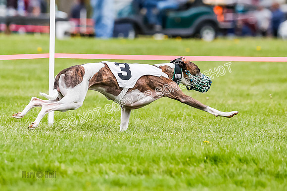 NOTRA Program 2, Race 4, Rum Moki Clyps-2-9