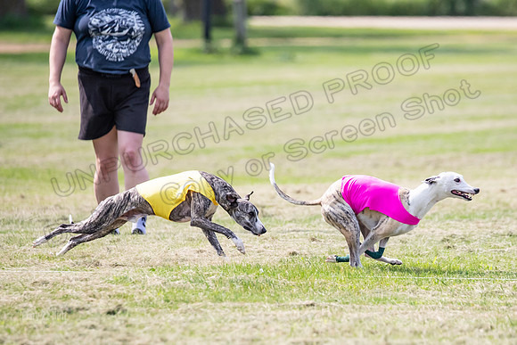 prelims Fch-Vet Arrow Wilson-7616