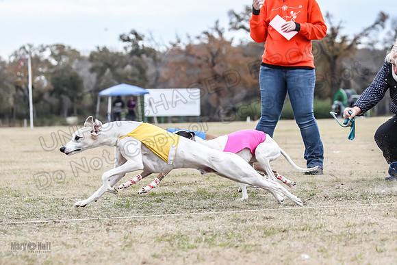 Finals Open 2 Cheese PeteySue Treble-3918