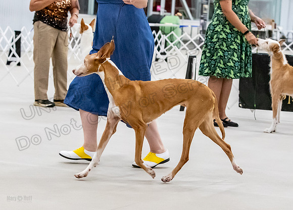AE4I3006