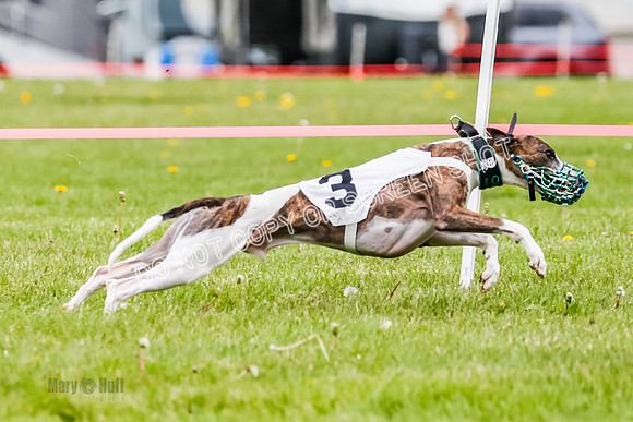 NOTRA Program 2, Race 4, Rum Moki Clyps-2-6