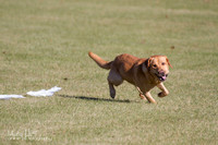 IMG_1360