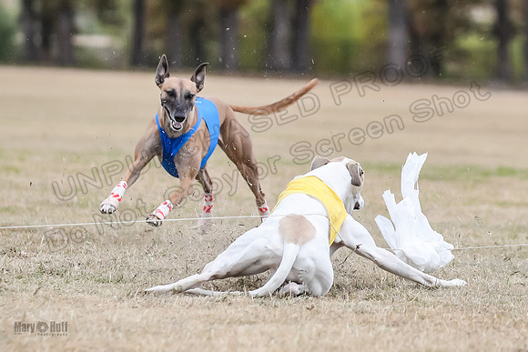 Finals Open 2 Cheese PeteySue Treble-3975