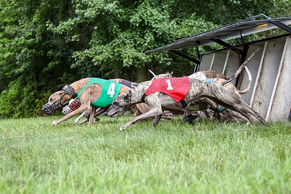 prg 1 race 4 lola Willow Finely Ullr Ready-3578