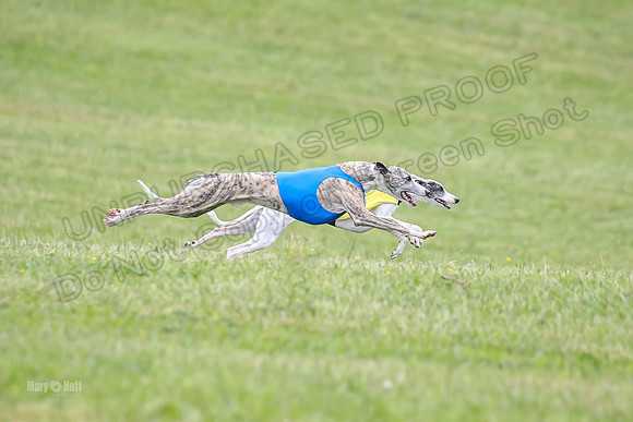 Prelim Open G1, Banshee Mystic Stoli-