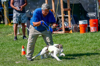 Silken Windhound Prelim, Finnegan-2949