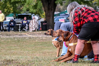 1 Prelims Fch 1 Ace Dakota Remmy-0247