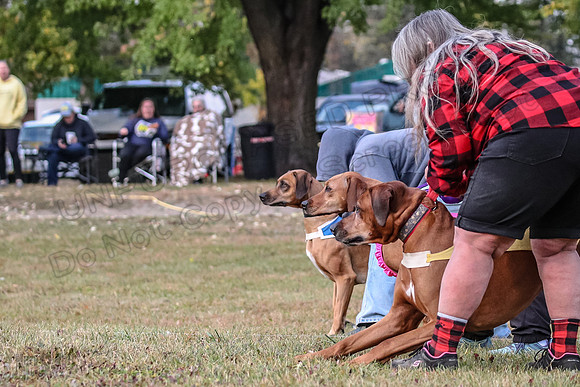 1 Prelims Fch 1 Ace Dakota Remmy-0247