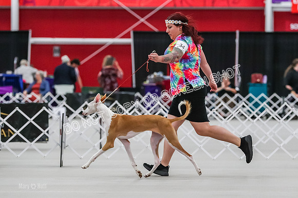 AE4I5158