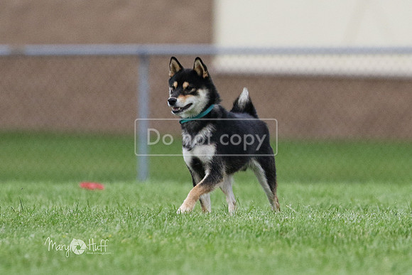 MCH79259