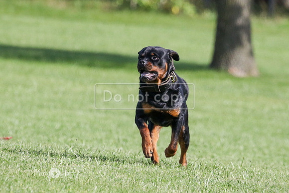 MCH70848