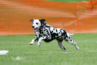 MCH79091