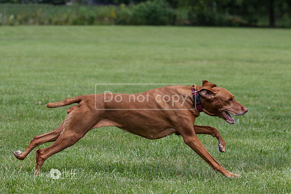 MCH70371
