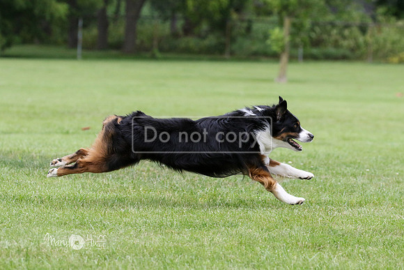 MCH79062