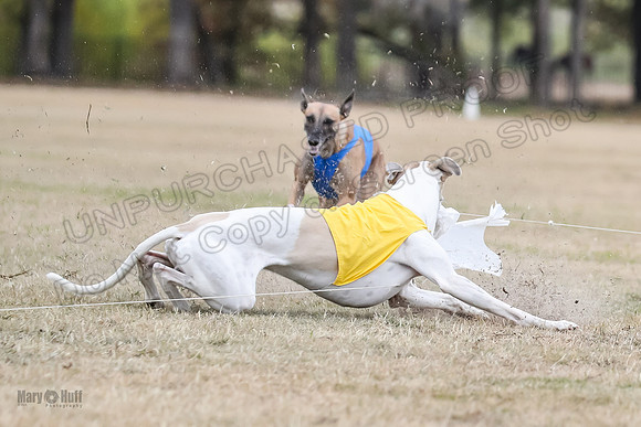 Finals Open 2 Cheese PeteySue Treble-3970