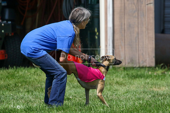 MCH71561