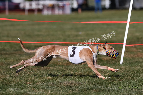 Prg 4, Race 5, Steve Tata Micky Barley-2596