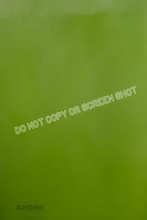 _E4I6717