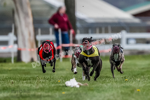 WRA, Prg 1, Race 4, Cassie Duesenberg Warrior Muchu Jasmine-8290