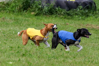MCH72931  Zephyr, Daisy, Jetta
