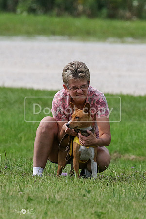 MCH72925  Zephyr, Daisy, Jetta