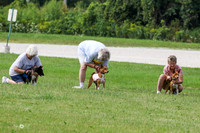 MCH72924  Zephyr, Daisy, Jetta
