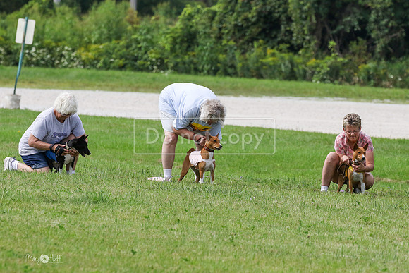 MCH72924  Zephyr, Daisy, Jetta