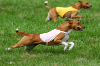 MCH72936  Zephyr, Daisy, Jetta
