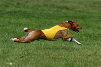 MCH72939  Zephyr, Daisy, Jetta