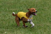 MCH72945  Zephyr, Daisy, Jetta