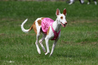 MCH73124