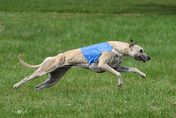 MCH73015