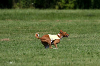 MCH71767