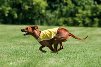 MCH71070