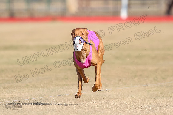 1Prelims Spec 1 Calyber Jasper-0803