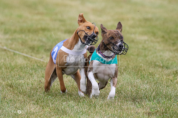 MCH71196