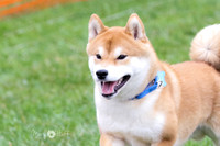 Crowley 3 Riku