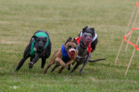 MCH70084  Holiday, Stoke, Mazzie, Trapper