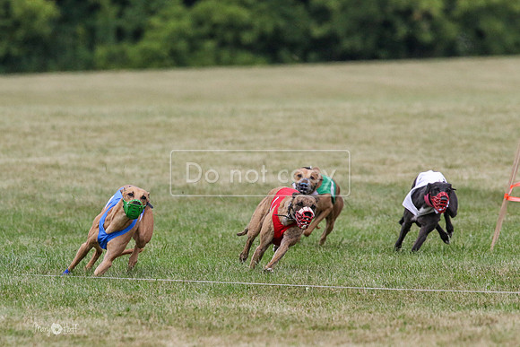 MCH70558 Stoke, Jack, Bean, Jagger