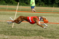 MCH70189
